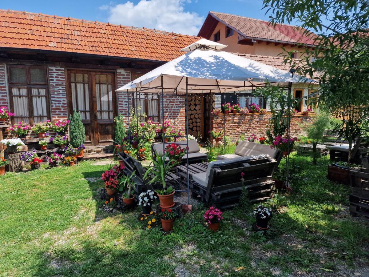 Old Court Villa Curtea de Argeş Екстериор снимка